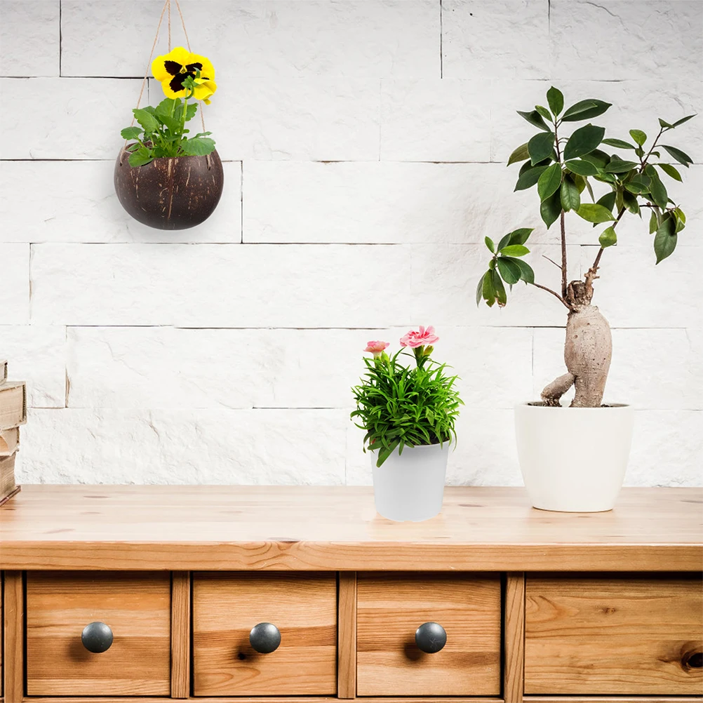 

2Pcs Coconut Shell Hanging Flower Pot Plant Basket Natural Large Indoor Container Wall Planter Balcony Terrace Decor