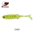 CA25