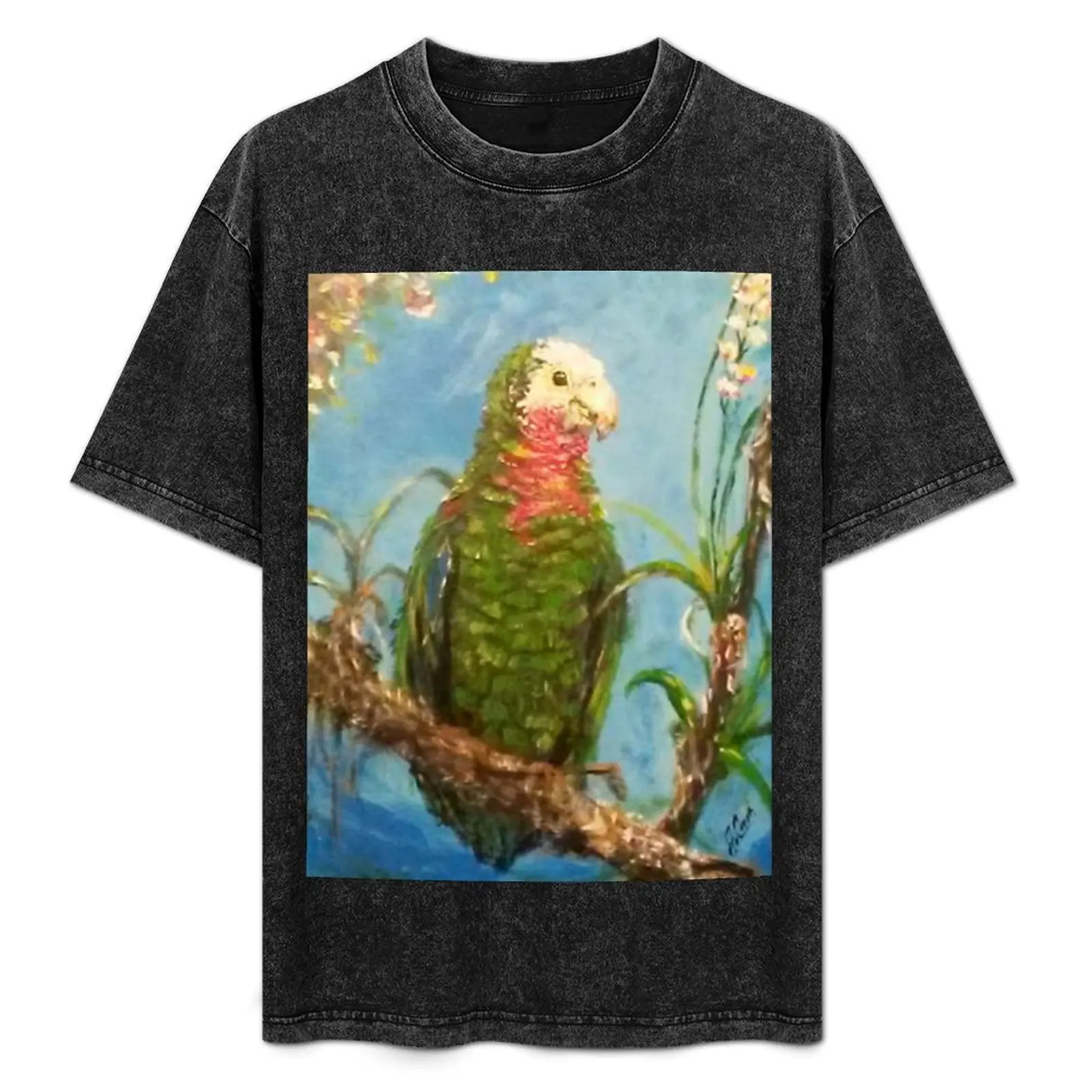 

Футболка Abaco Parrot с изображением диких орхидей, свободный крой, короткий рукав, большие размеры