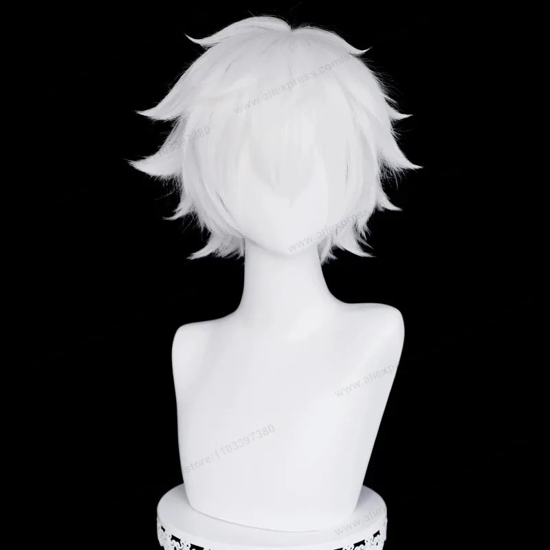 Peluca de Cosplay Lu Guang, 30cm, pelo corto, rizado, plateado, blanco, para hombre, pelucas sintéticas resistentes al calor de Anime, 5;d'2.y;8'