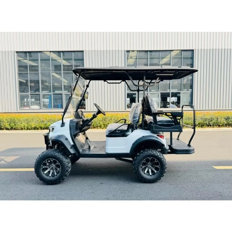 Luxury 4 Seat Electric Golf Cart with Durable Tires lyx