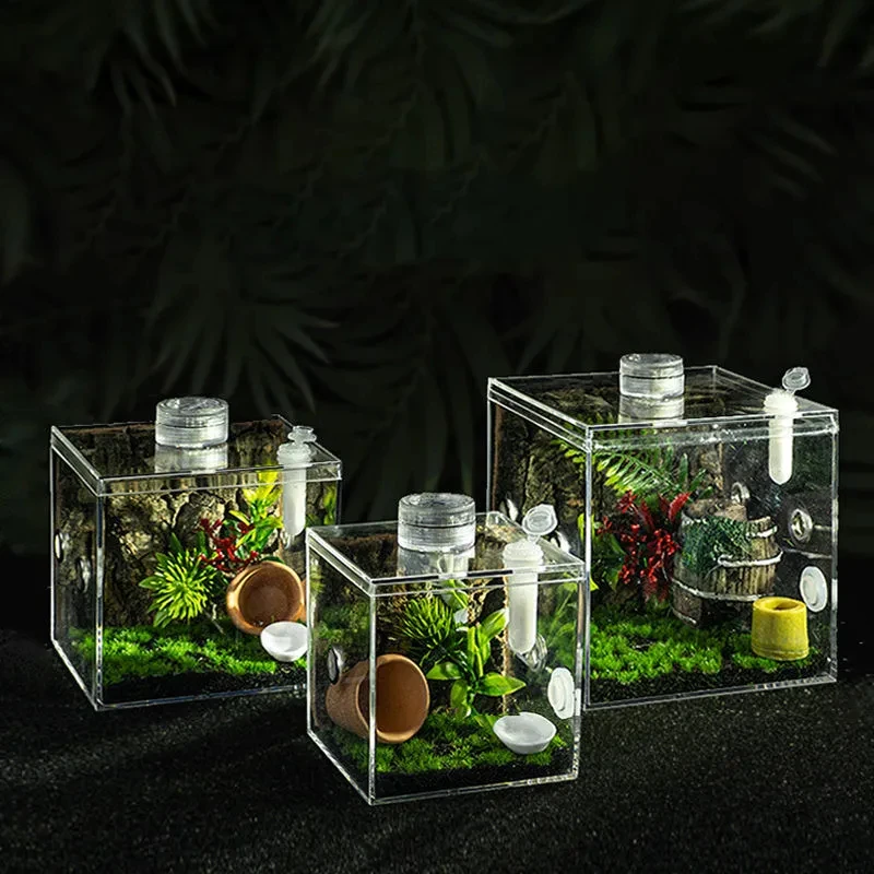 Pet Spider Insect Acrylic Breeding Box Mantis Grasshopper Reptile Ecological Box Jumping Ant Cricket Spider Box Landscaping Déco