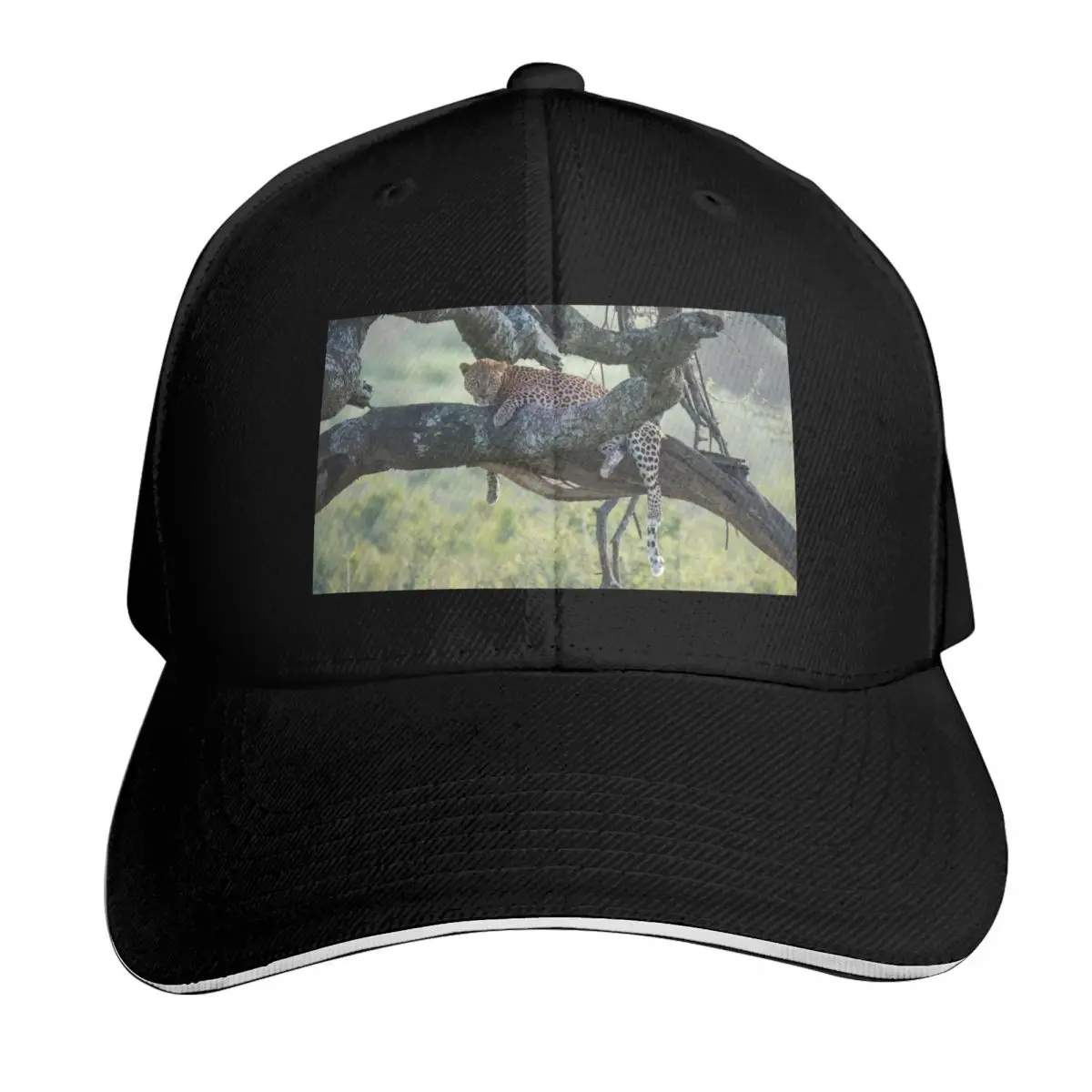Resting Leopard Baseball Cap Casual Daily Wear Quick Dry Performance Cotton Twill Breathable