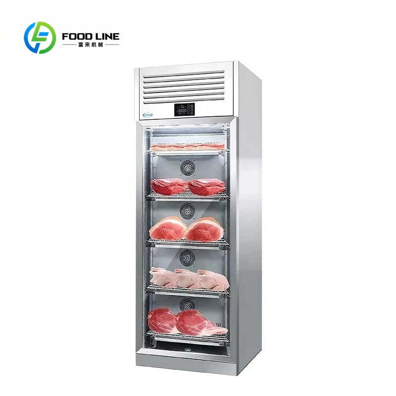 Customized Thawing Air Drying Dehumidifying Vertical Beef Aging Cabinet Chicken Roast Storage Cabinet