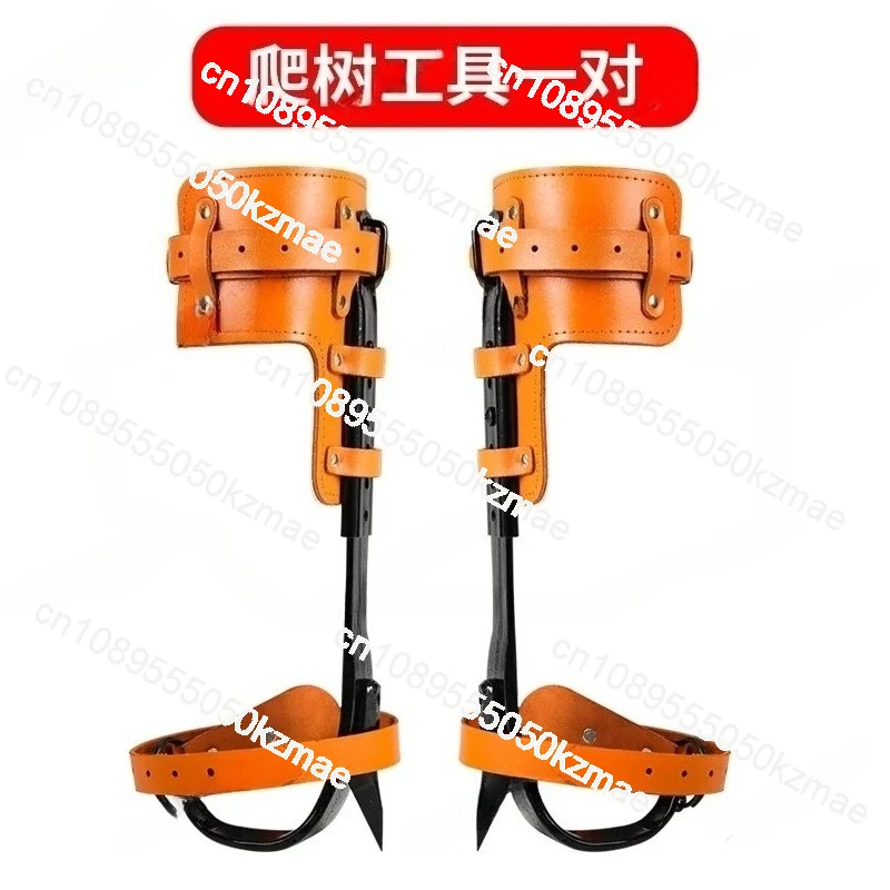 مجموعة مسامير التسلق Arborist، مع مخلب التقليم وحزام دعم الكتف المزدوج