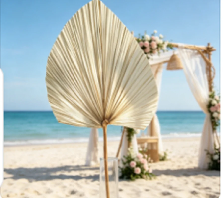 Palm Leaf Dried - 16PCS Natural Dried Palm Leaves Large
