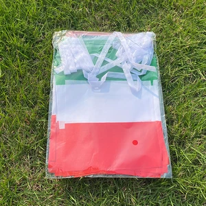 Aerlxemrbrae-bunning Bunde, dreieckige Saiten, Festivalparty, Urlaub, 14x21 cm, 20 Einheiten pro Los 10 Hauptverkaufsflagge - №8