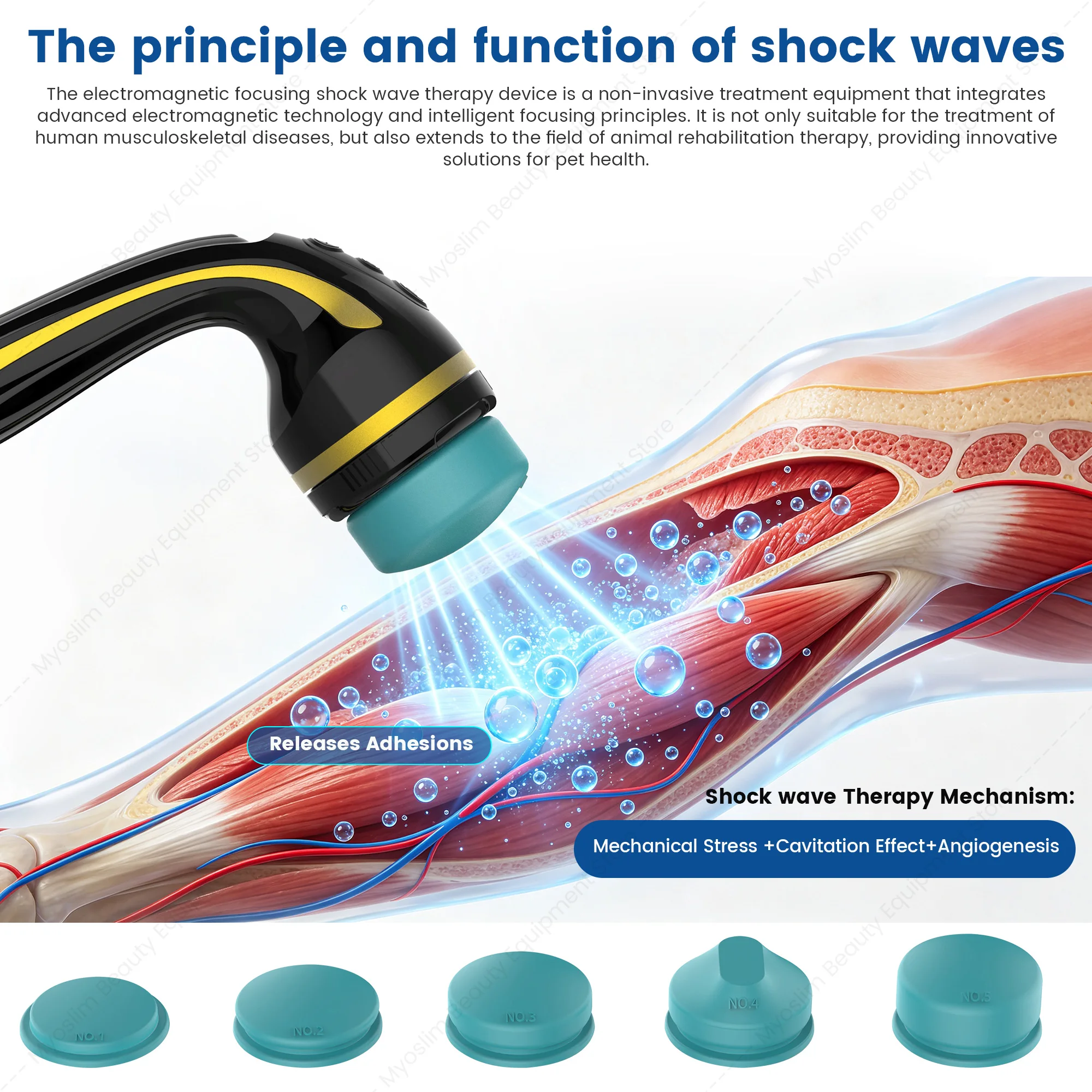 Electromagnetic Acoustic Shock Wave Equipment Portable Body Pain Relief Dysfunction Therapy Cellulite Removal Physiotherapy Mach