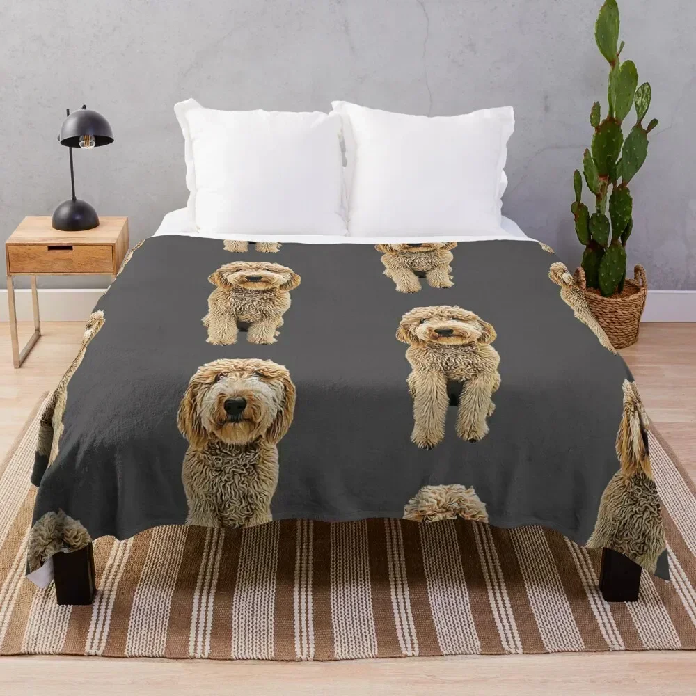 

Labradoodle Golden Doodle Throw Blanket Fade Resistant Durable Throw Blanket