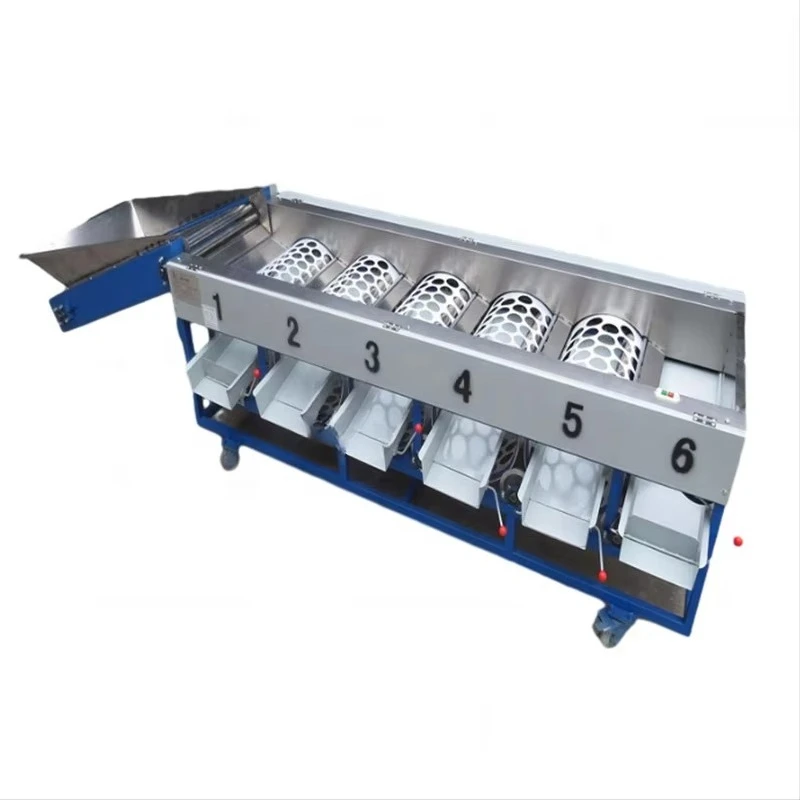 Automatic fruit and vegetable classifier sorting machine classification sorting line machine