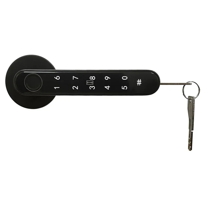 

Fingerprint lock wooden door, household apartment, hotel, room door