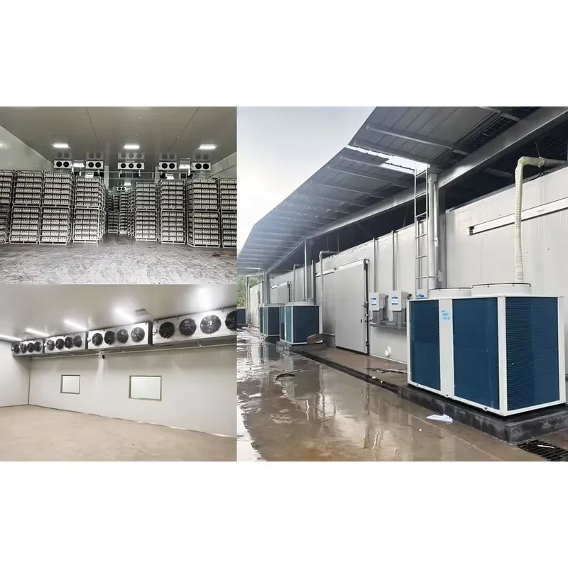 Agricultural Air Conditioner Cooling and Heating Climate Control System of Mushroom Cultivation