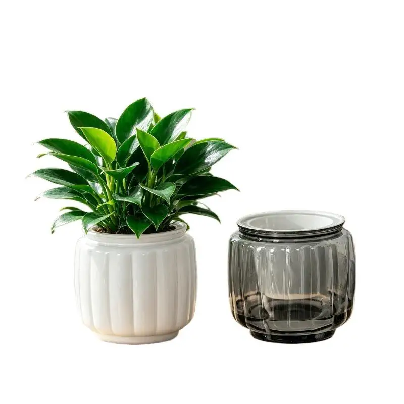 Mini Self Watering Flower Pot Fish Tank Transparent Plastic Plant Pots Self Watering Planter Pot For Home Decoration