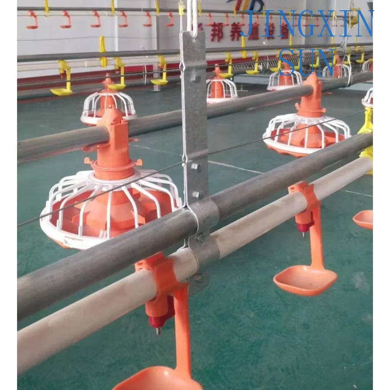Fully Automatic Animal Feeders and Drinkers Poultry Feeding Line for Broiler Chicken Farm House Equipment