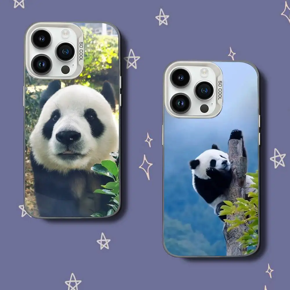 

fubaoS P-panda Phone Case For iPhone 17,16,15,14,13,12,11,Pro,XS,Max,Plus,Mini,SE White Candy Matte Shockproof Cover