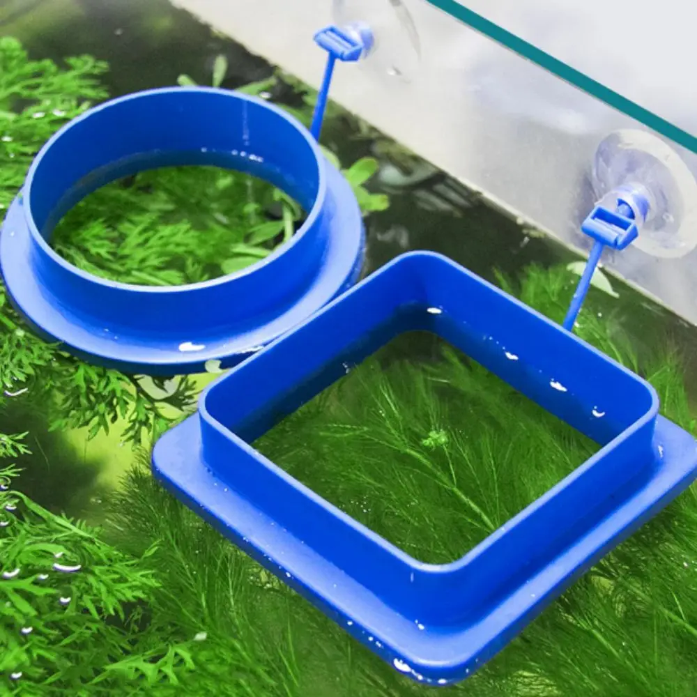 

Thicken Floating Feeding Ring Suction Cup Plastic Fish Feeding Ring Round/Square Fish Food Feeder Aquarium