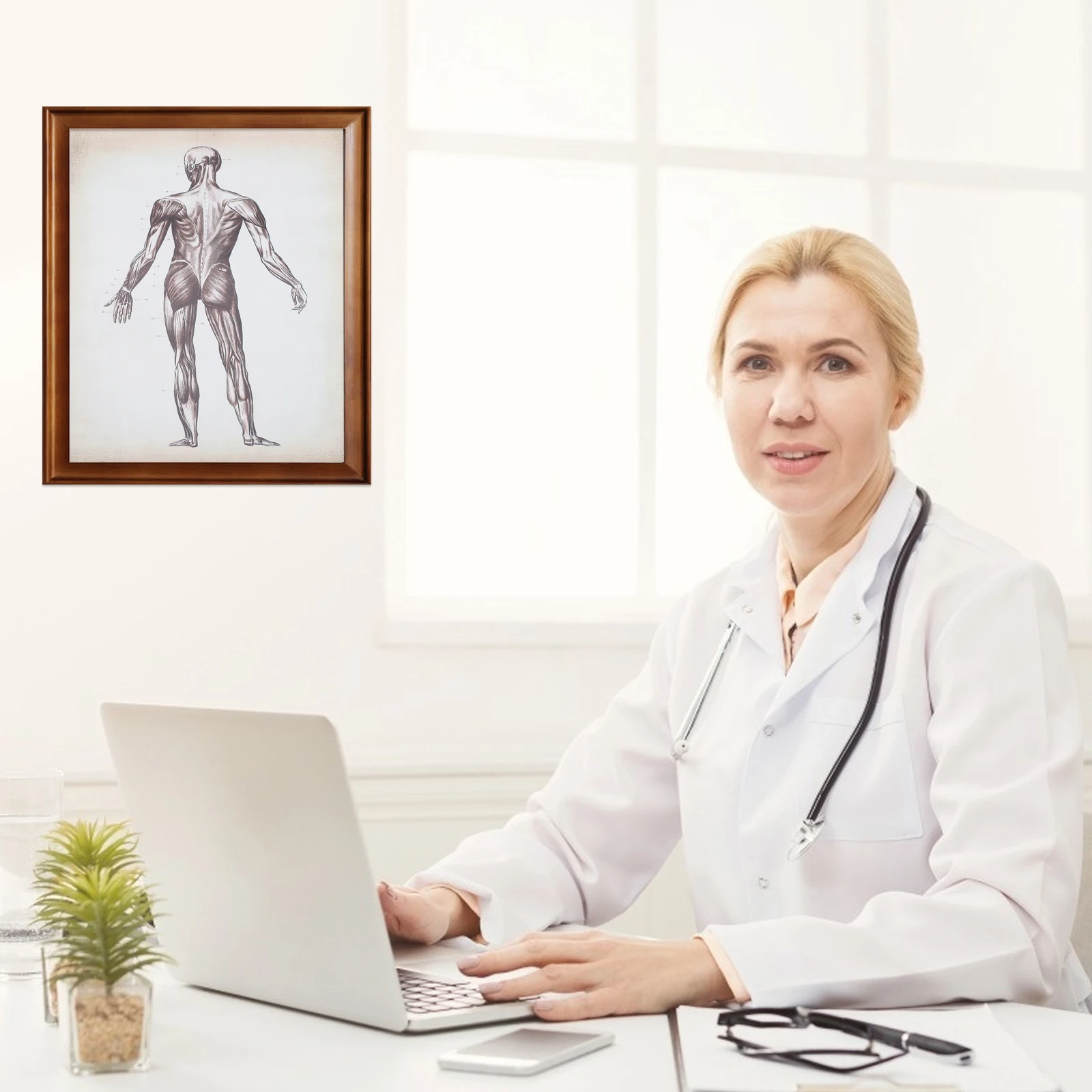 

Human Anatomy Medical Chart Wall Hanging Poster Wall Hanging Chemical Fiber Canvas For School Laboratory Classroom