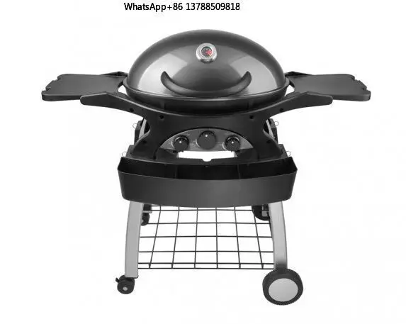 Portable Gas BBQ Grill 3burners Gas Grill Outdoor Stainless Steel Enameled Cast Iron Support Weiber Grill Accessories