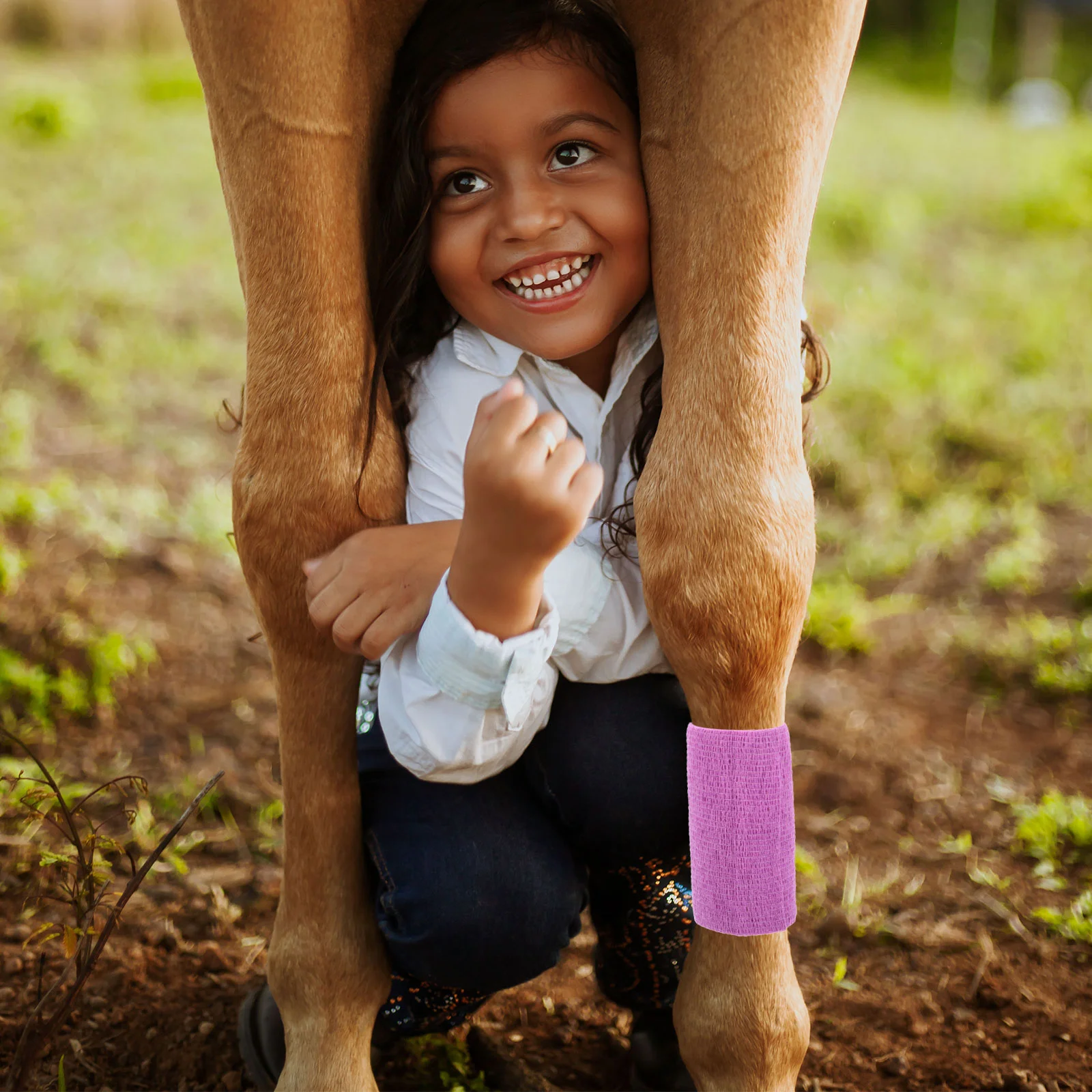 

Gauze Pads Horse Leg Bandage The Animal Self-adhesive Wrap Leggings Castor Oil Purple Non-woven Fabric