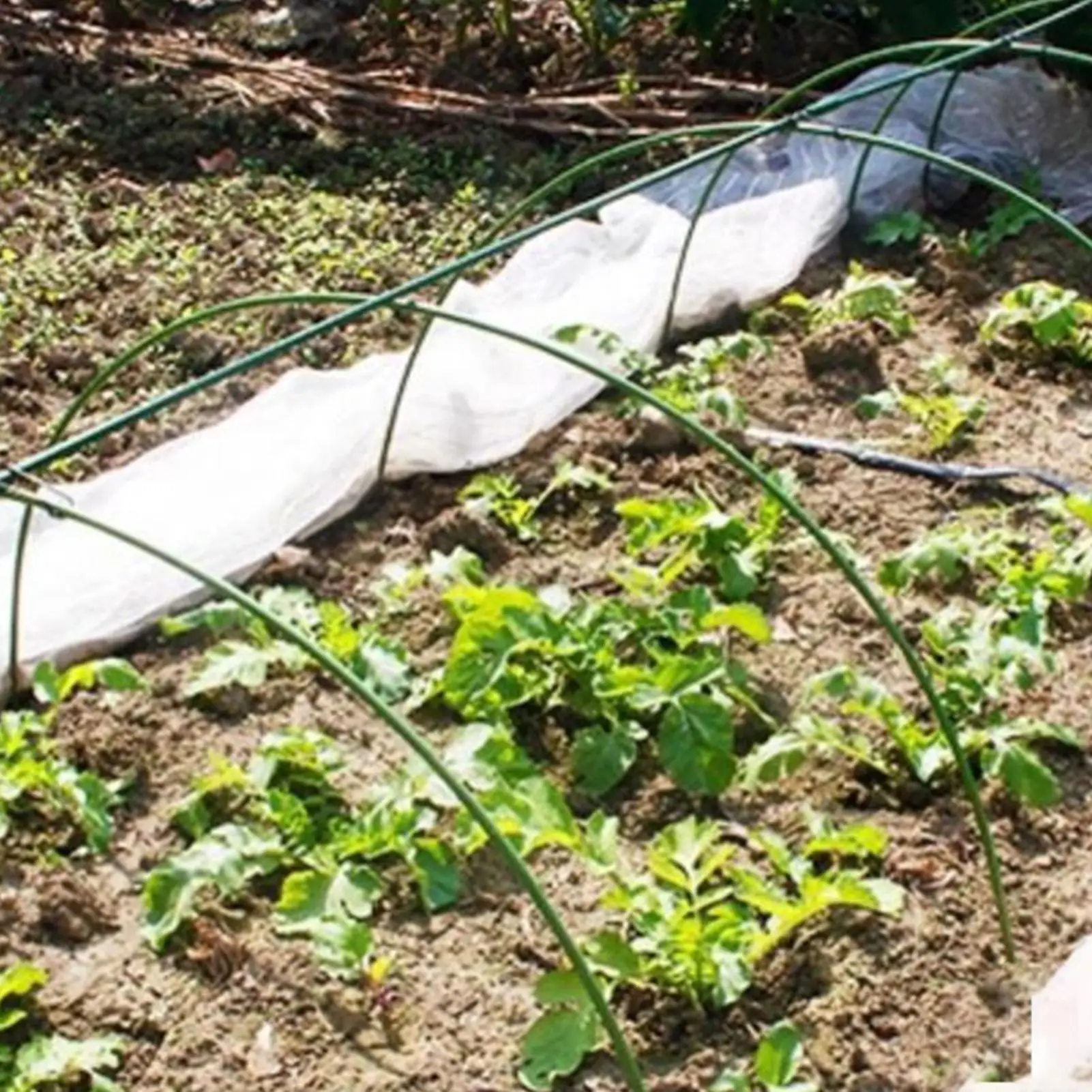 

Garden Hoop For Raised Beds Backyard Plant Tunnel Flexible Planting Hoop Grow Tunnel For Garden Orchard Flowerbed Lawn