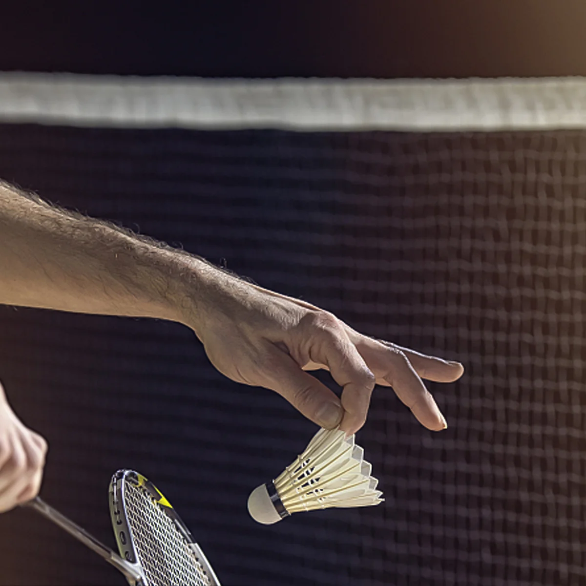 

1Pcs Durable Badminton Net High Quality PP Material Professional Mesh Indoor Outdoor Sports Training Match Replacement Net