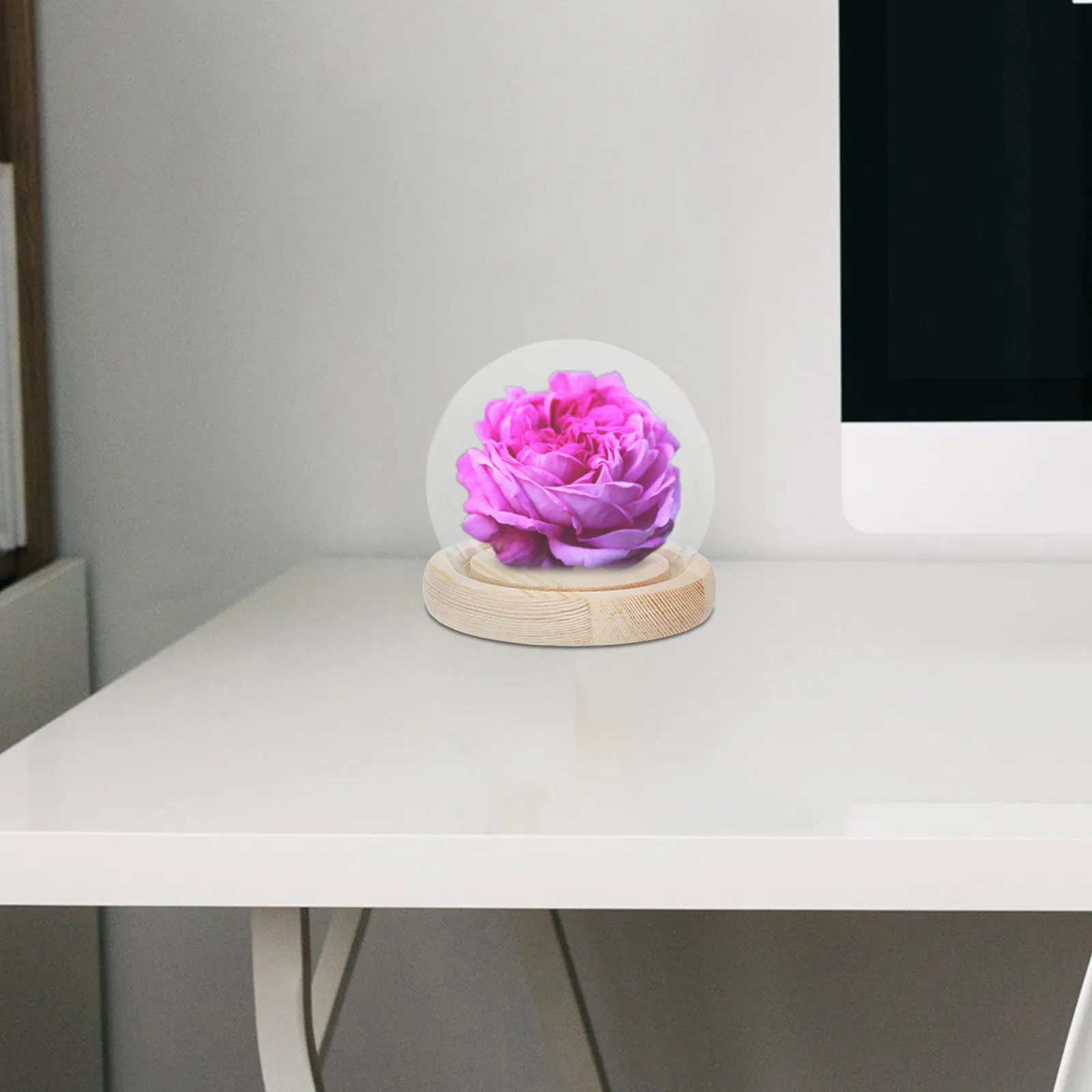 Clear Glass Display Dome with Wooden Base Miniature Cloche Decorative Cover for Preserved Flower Plant Display Case