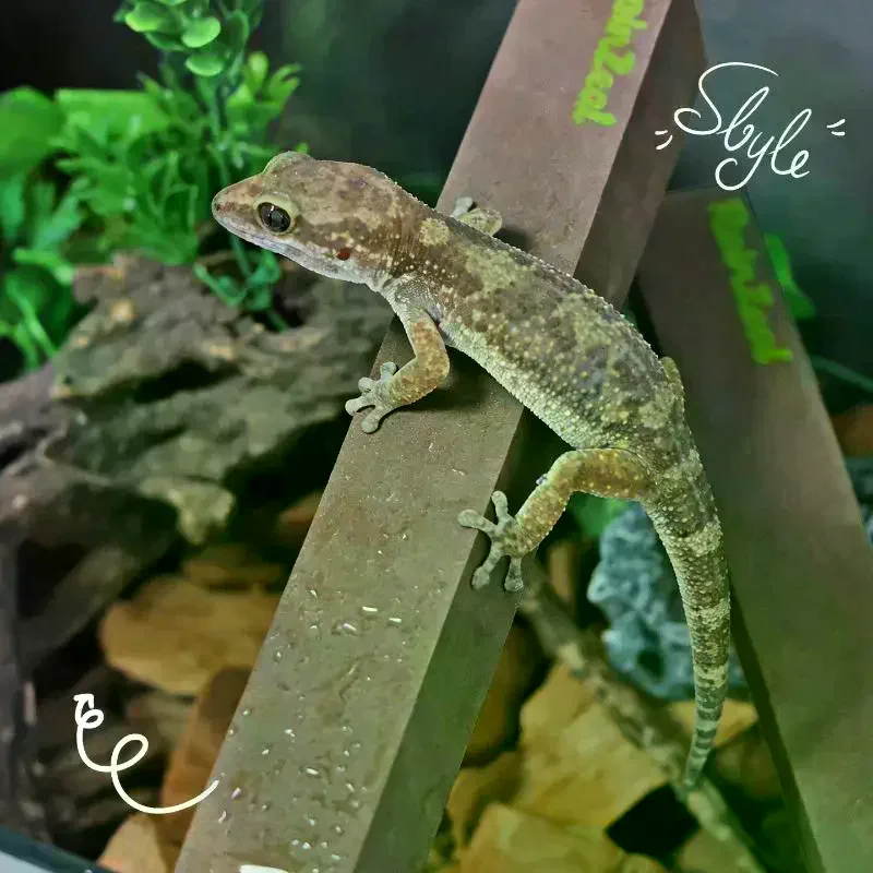 1Pc DIY Trimmable Foam Climbing Stick Reptile Branch For Crested Gecko Leopard Lizard Spider Terrarium Tank Decor