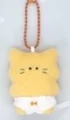 cat yellow