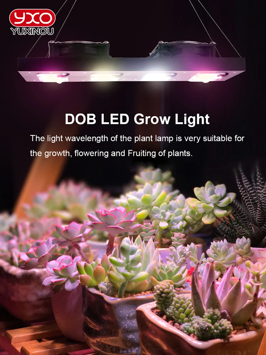 Luz LED regulable para cultivo de flores, fitoamplificador de espectro completo, PPFD, para invernadero, 2000W, DOB