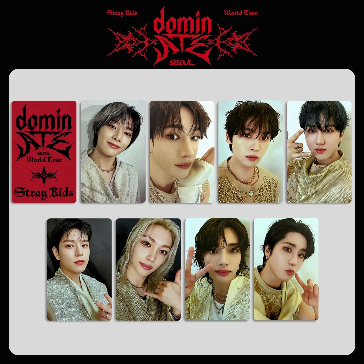 

НОВЫЙ KPOP Stray Kids DOMINATE WORLD TOUR Концерт в Сеуле DVD-диск World Tour BANG CHAN tokuten Special Edition Card SKZOO GIFT