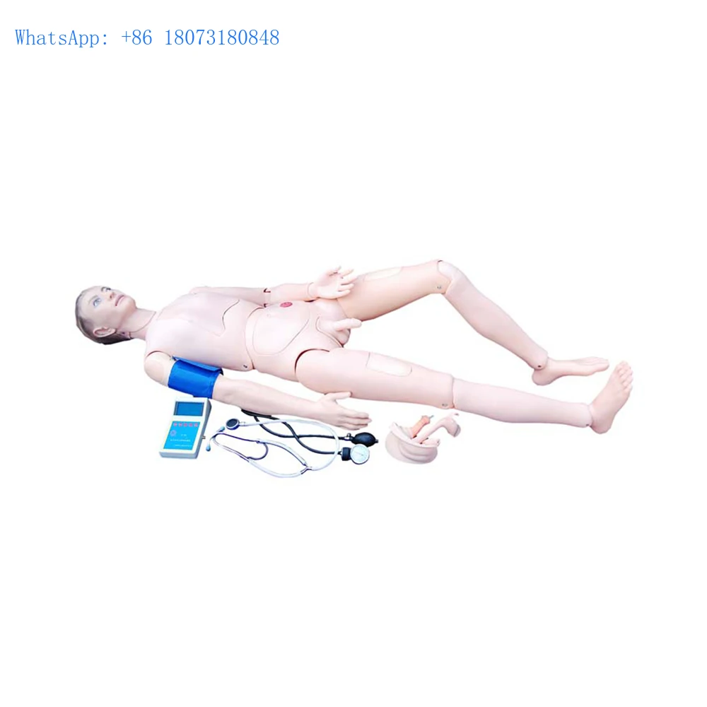 LTM406C whole body medical cpr training manikin