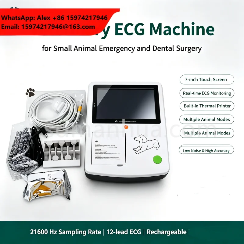 Portable Animal Heart ECG Monitor Veterinary 12 Lead EKG Machine 7 Touch Screen Data Export Function For Vet Medical Records