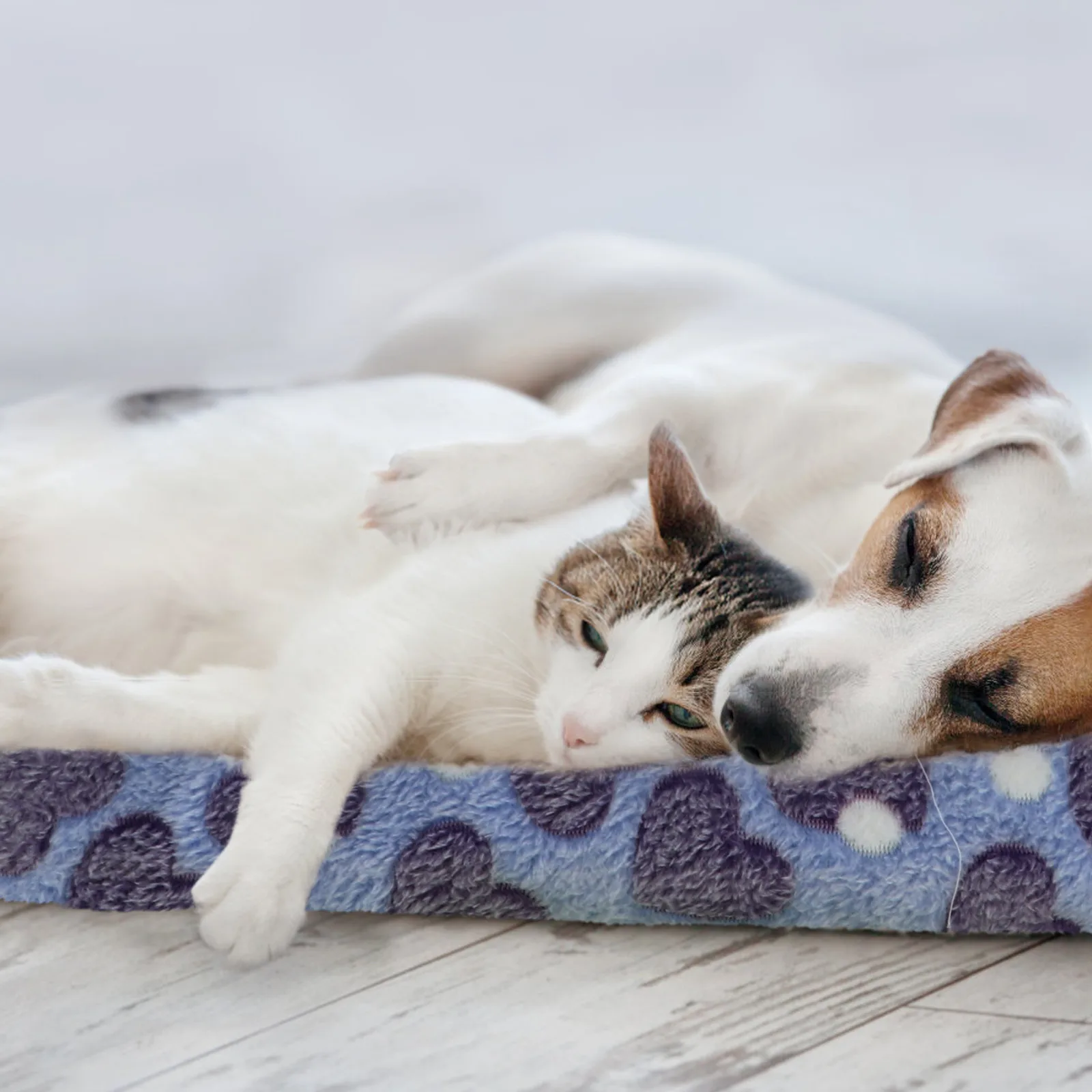 

2Pcs Pet Bed Mat Warm Cushion No Odor Fading Shedding Long Life Suitable All Seasons Furniture Protection Pet Mat