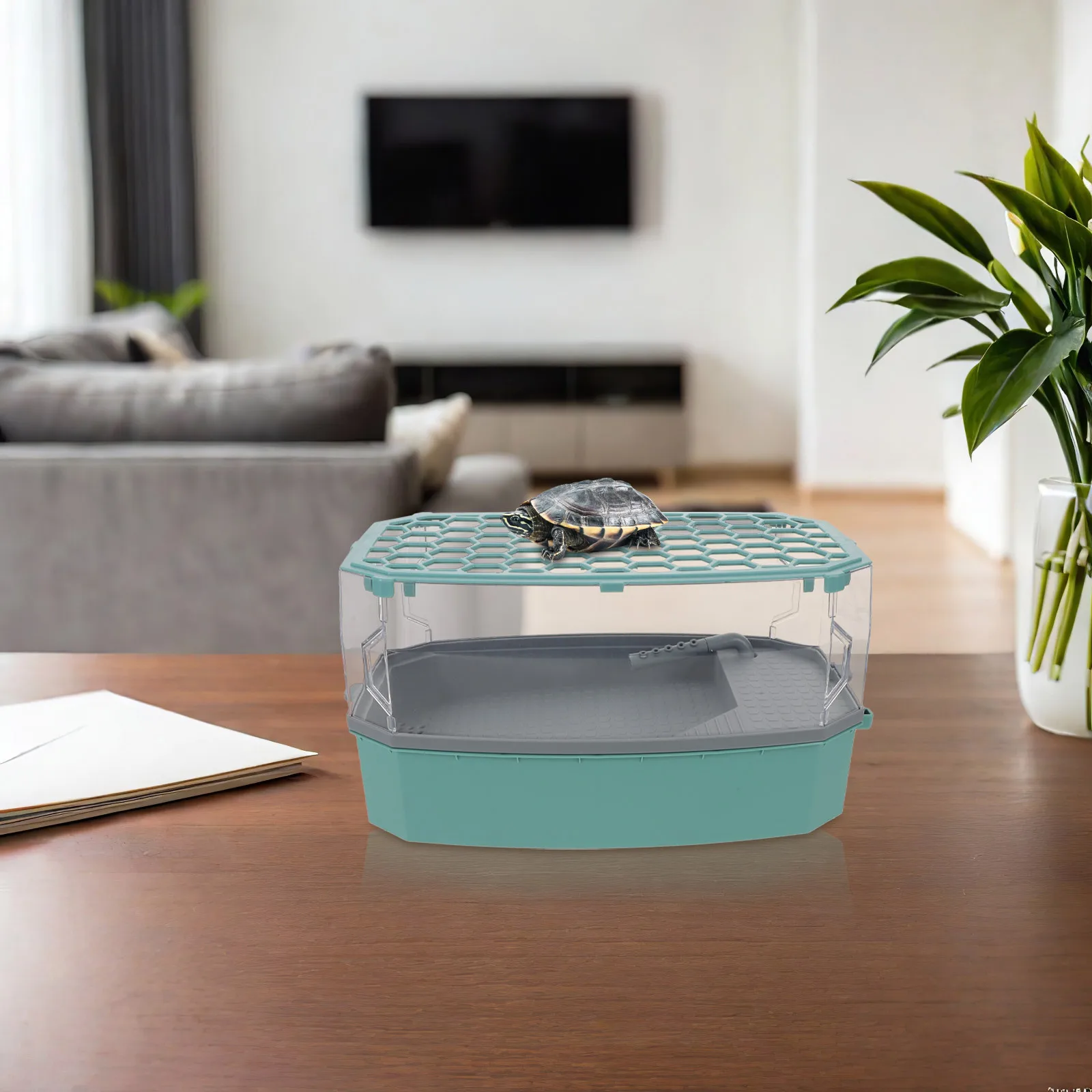 Ecological Turtle Tank Plastic Terrarium With Basking Platform Escape Proof Lid Small Aquarium For Turtles Pet