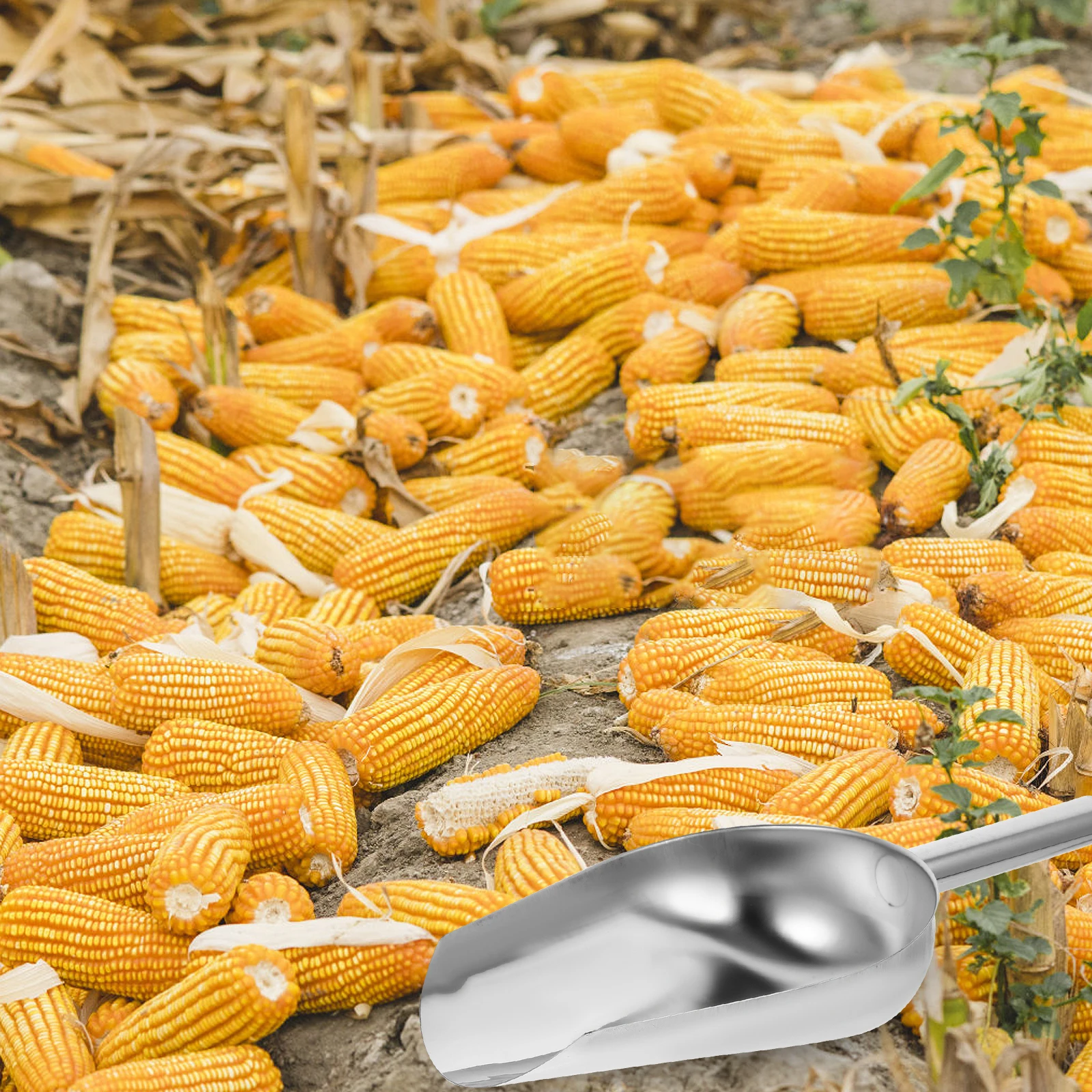 

Multipurpose Stainless Steel Shovel Food Scoop Ice Cream Tray Grain Rice Candy Nut Flour Bean Crushed Practical Handle Birthday