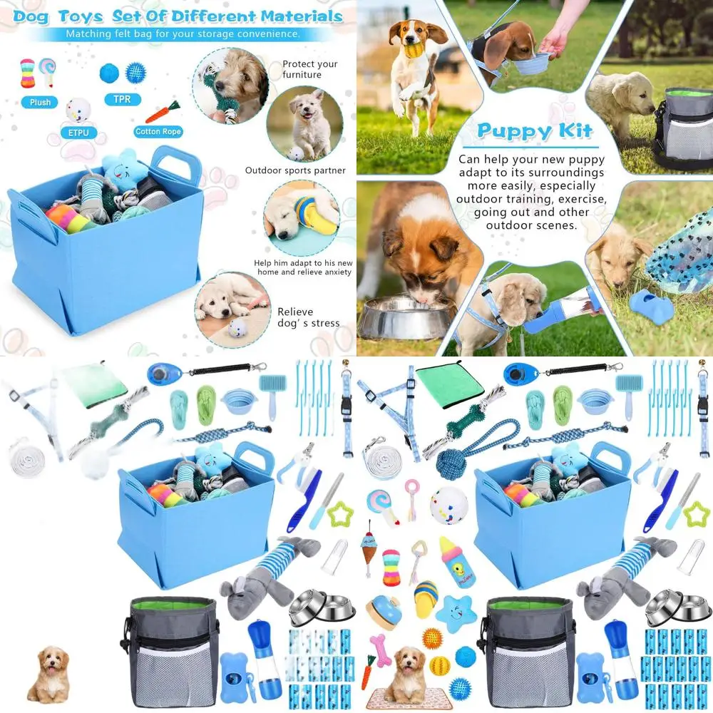 

Набор для маленьких собак из 65 предметов: поводок, игрушки, миски, щетки, бутылочки, пледы в прохладном синем цвете