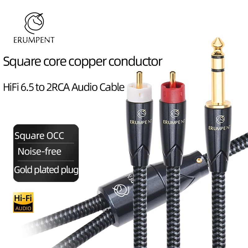 

ERUMPENT HiFi Audio Cable 6.5mm to 2RCA for DAC Speaker with 6.5 TRS Jack to 2RCA Male Y Splitter Stereo Aux Cable
