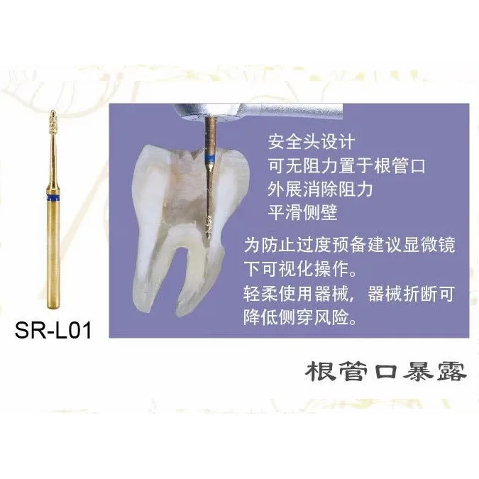 Variant: 10pcs SR-L01