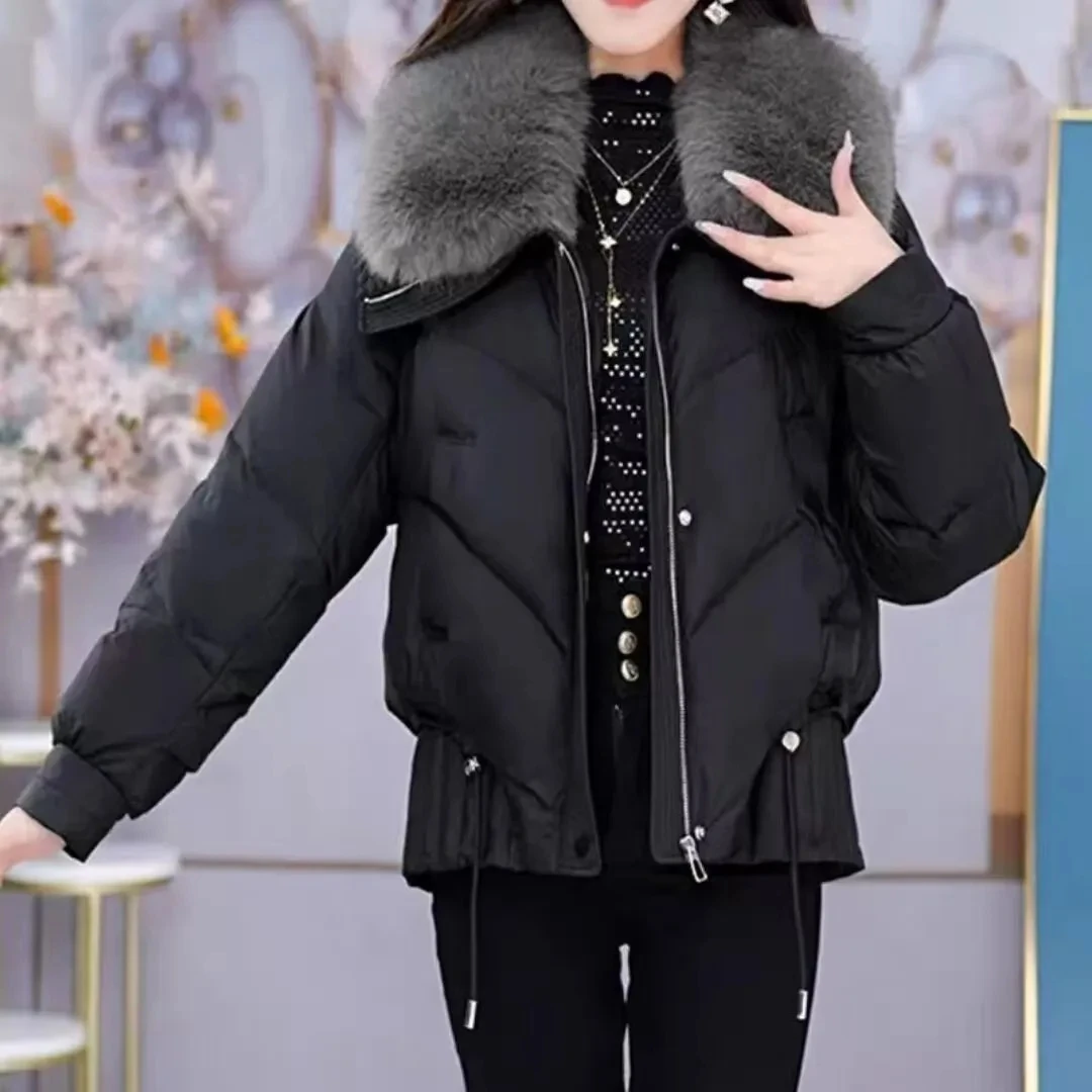 

2026 Fashion Winter New Down Cotton Jacket Women's Cotton-Padded Thicken Warm Parkas Short Coat Female Casual Ladies Overwear