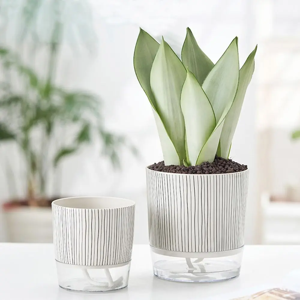 وعاء نباتات شفاف ذاتي الري للن - مراجعة Aloe Vera Pot وسعره