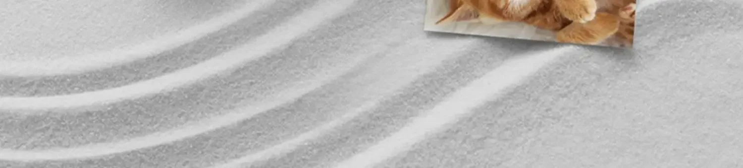 Xmi Pocket Photo Printer/Wireless Bluetooth Small Home Color Mini Portable Thermal Sensitive