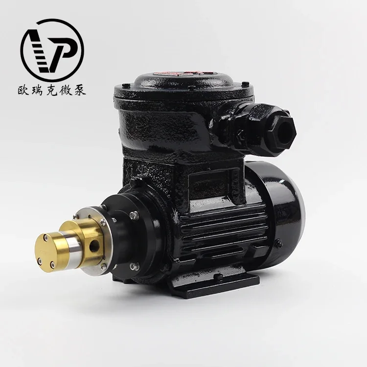 工場価格 AC 380V 高圧ギアポンプ 食品グレード 電磁駆動 ミニギアウォーターポンプ