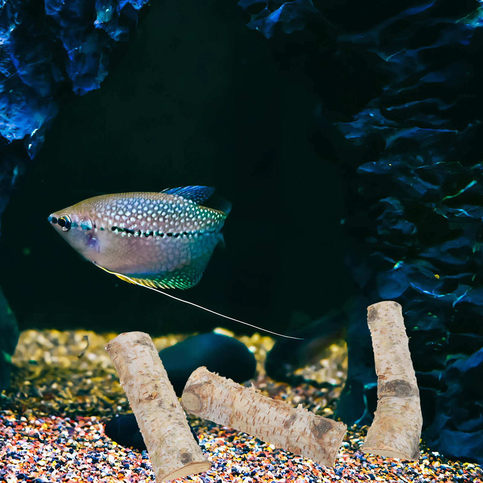 

8 Pcs DIY Fish Tank Decor Natural Wood Slices Christmas Photo Props Small Blocks Log Sticks Craft Ideas Home Decoration