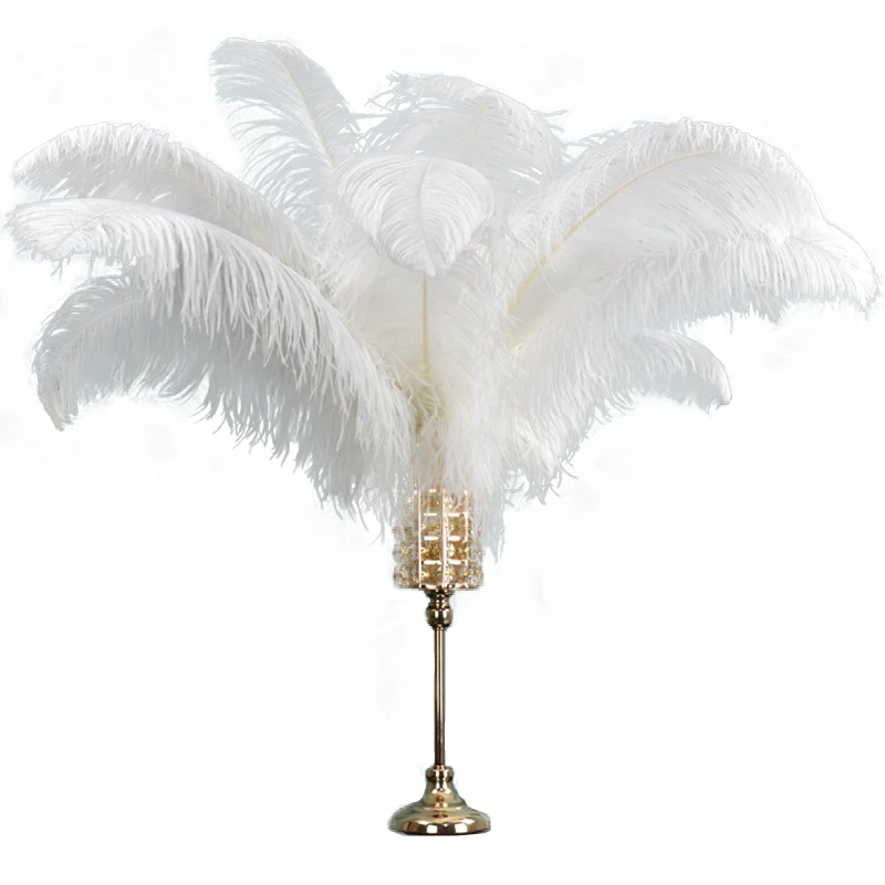 White Ostrich Feather Decor 15-70cm/6-28