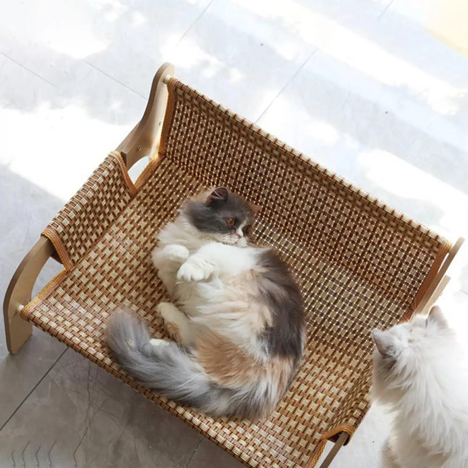 

Кровать-гамак для кошек, приподнятый диван для домашних животных, диван-кровать для кошек, дышащая мебель, охлаждающее кресло для отдыха, диван для собак для котенка, маленьких собак, лето