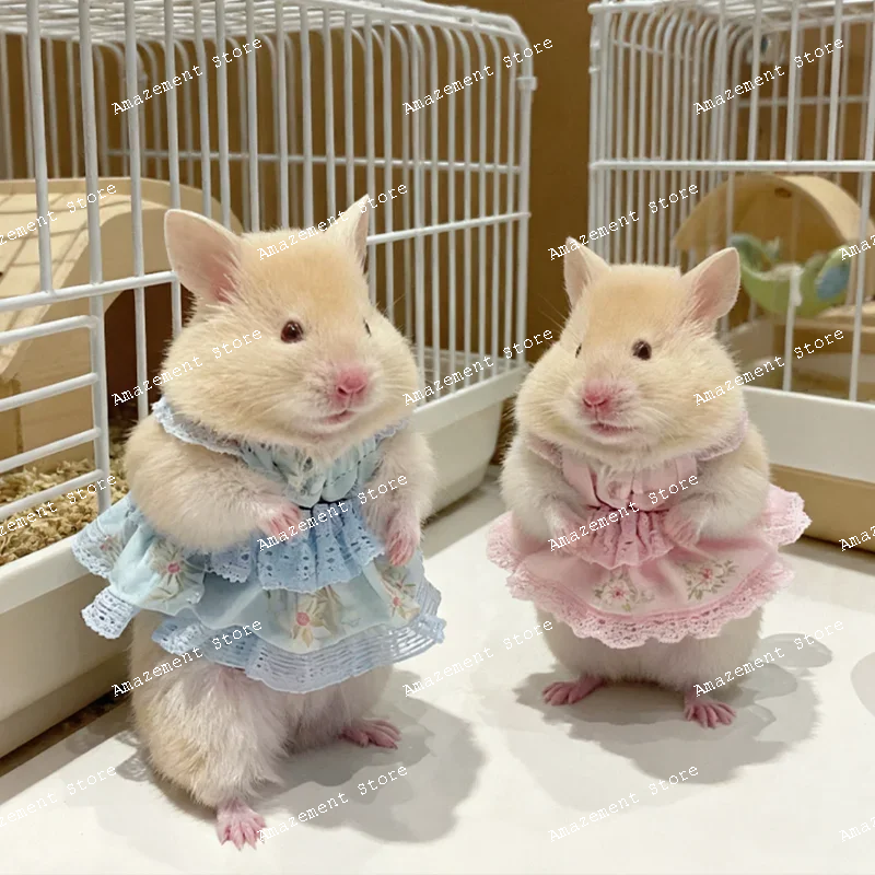 

hamster special clothes princess dress for all seasons, dwarf pet special cute golden bear clothing