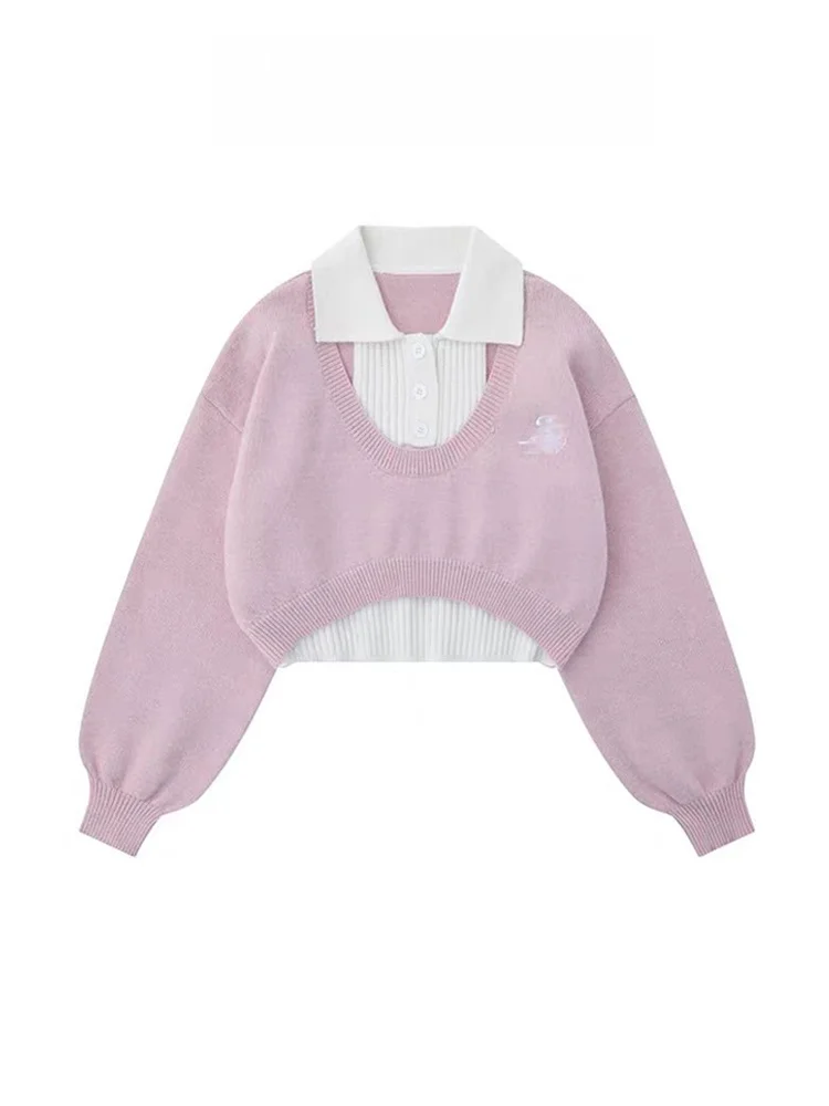 

Вязаный свитер Sweet Sle Ne, женский весенне-осенний комплект из двух предметов, ленивый комплект Long Sve на пуговицах