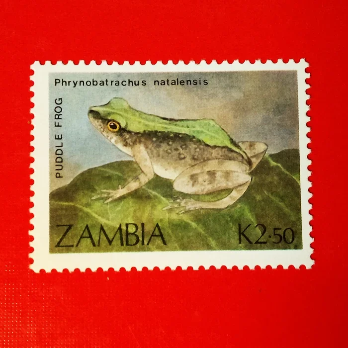 1Pcs/Set New Zambia…