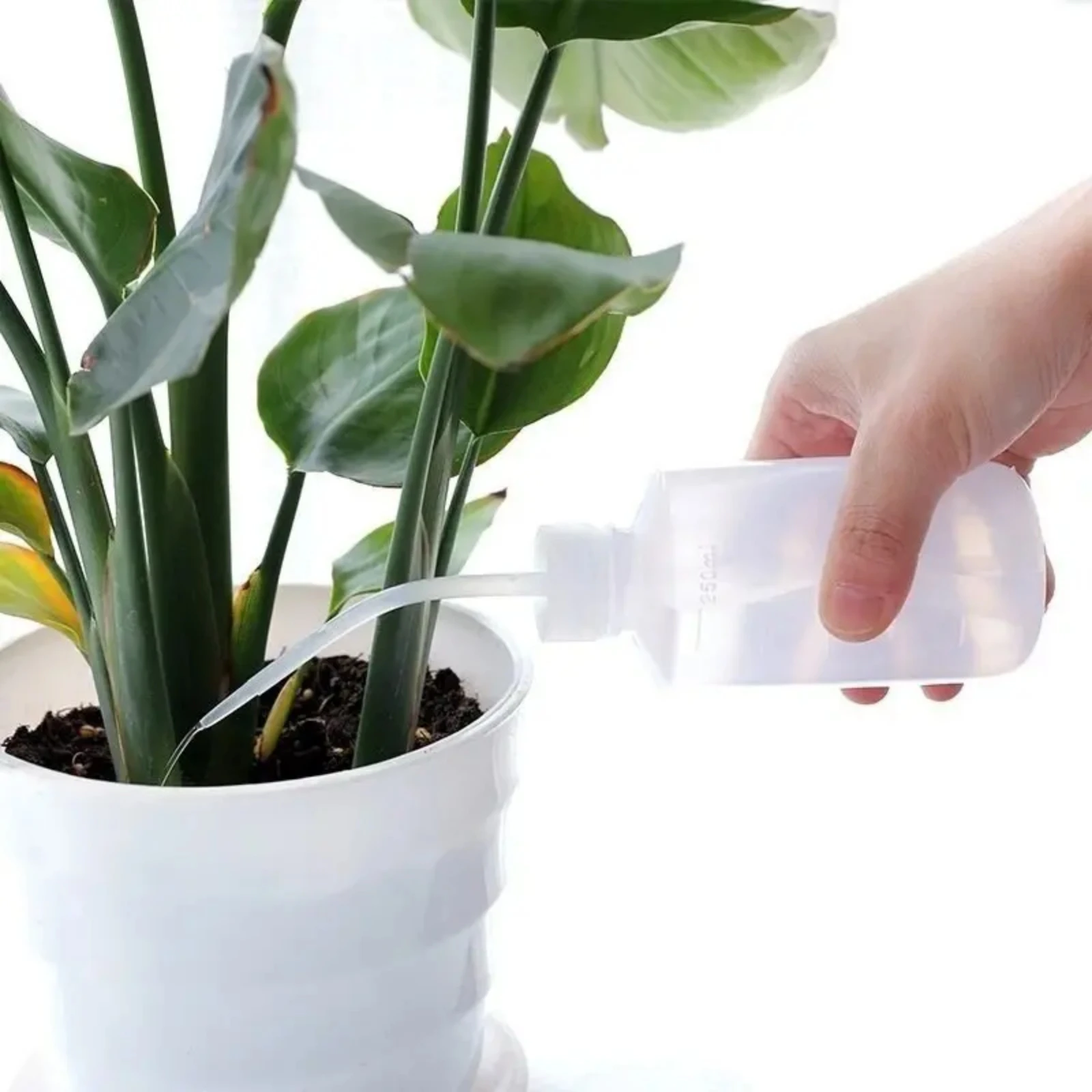 물 스프레이 병 150/250/500ml 식물 꽃 물을 - Gardening Tools For Beginners 리뷰 및 가격
