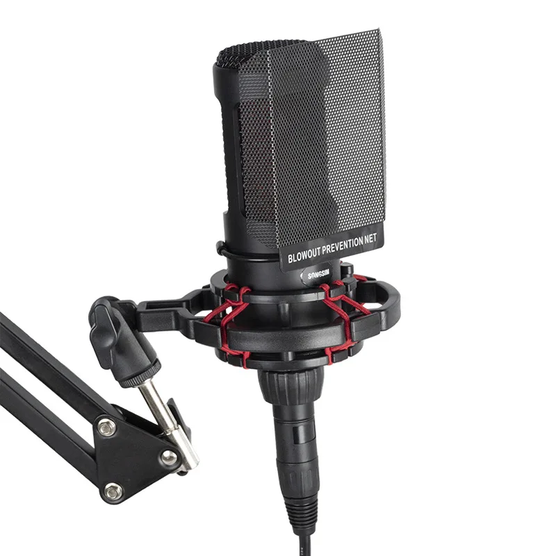 2024 New ZX2020 Full Metal Condenser Microphone Live Singing Recording Studio External Sound Card 48V Microphone